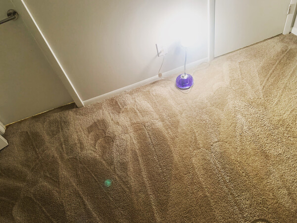 Carpet Cleaning in Germantown, MD (1)