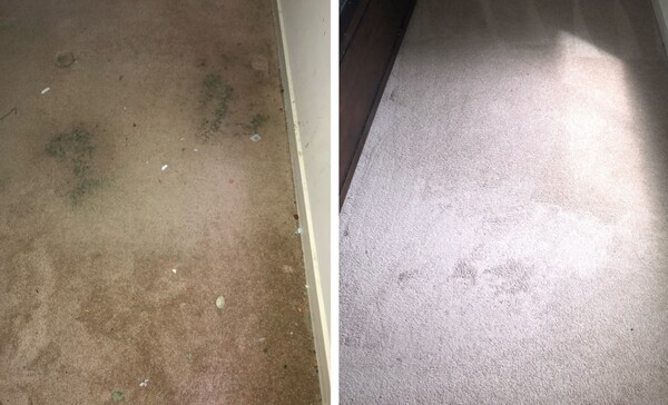 Carpet Stain Removal In Washington D.c.