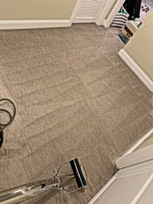 Carpet Cleaning Services in Montgomery Village, MD (2)