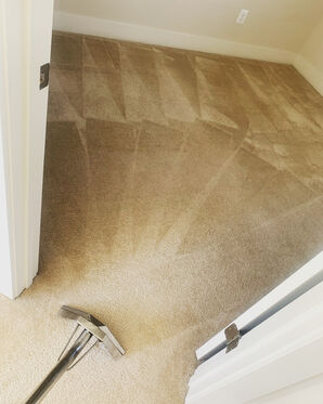 Carpet Cleaning Services in Bethesda, MD (2)