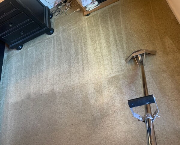 Carpet Cleaning in Rockville, MD (1)