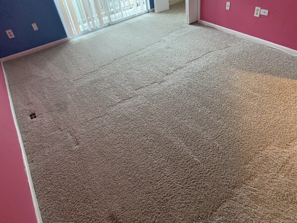 Carpet Cleaning
