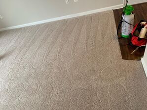 Carpet Cleaning Services in Gaithersburg, MD (2)
