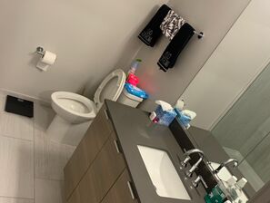 Rental Property Cleaning in Northwest Washington D.C. (6)