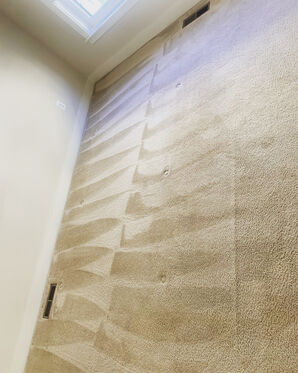 Carpet Cleaning Services in Bethesda, MD (1)
