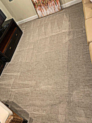 Carpet Cleaning Services in Montgomery Village, MD (1)