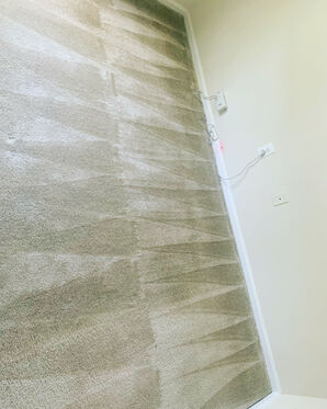 Carpet Cleaning Services in Rockville, MD (1)