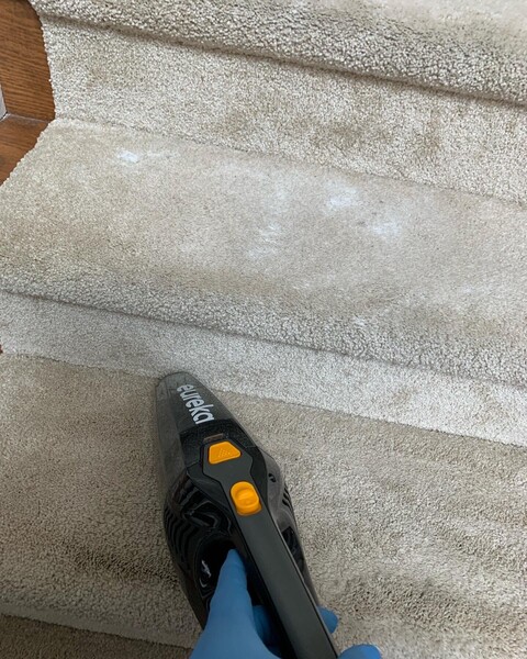 Carpet Cleaning Services in Silver Spring, MD (1)