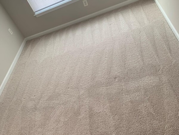 Carpet Cleaning Services in Gaithersburg, MD (3)