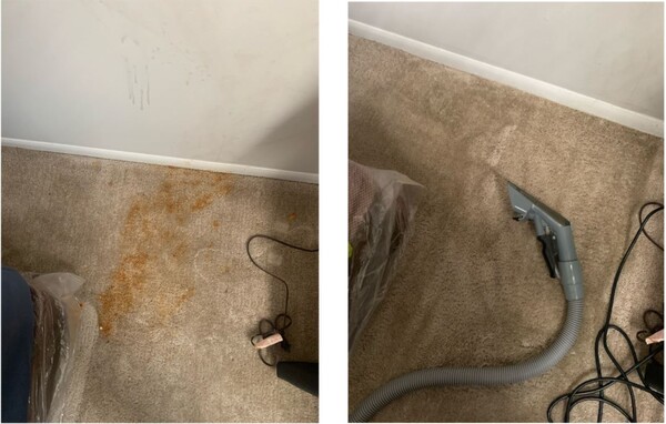 Before and After Carpet Cleaning Services in Silver Spring, MD (1)