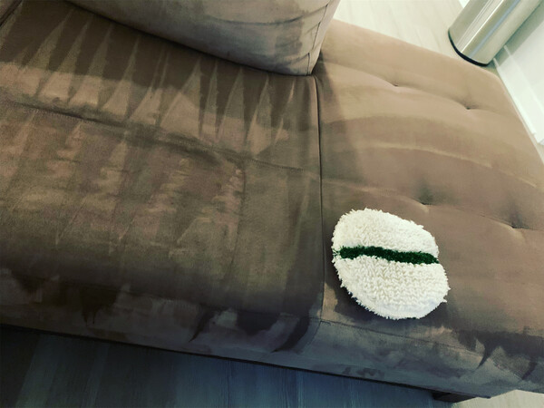 Sofa Cleaning Services In Rockville, MD (1)