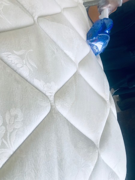 Cleaning in College Park, MD (1)